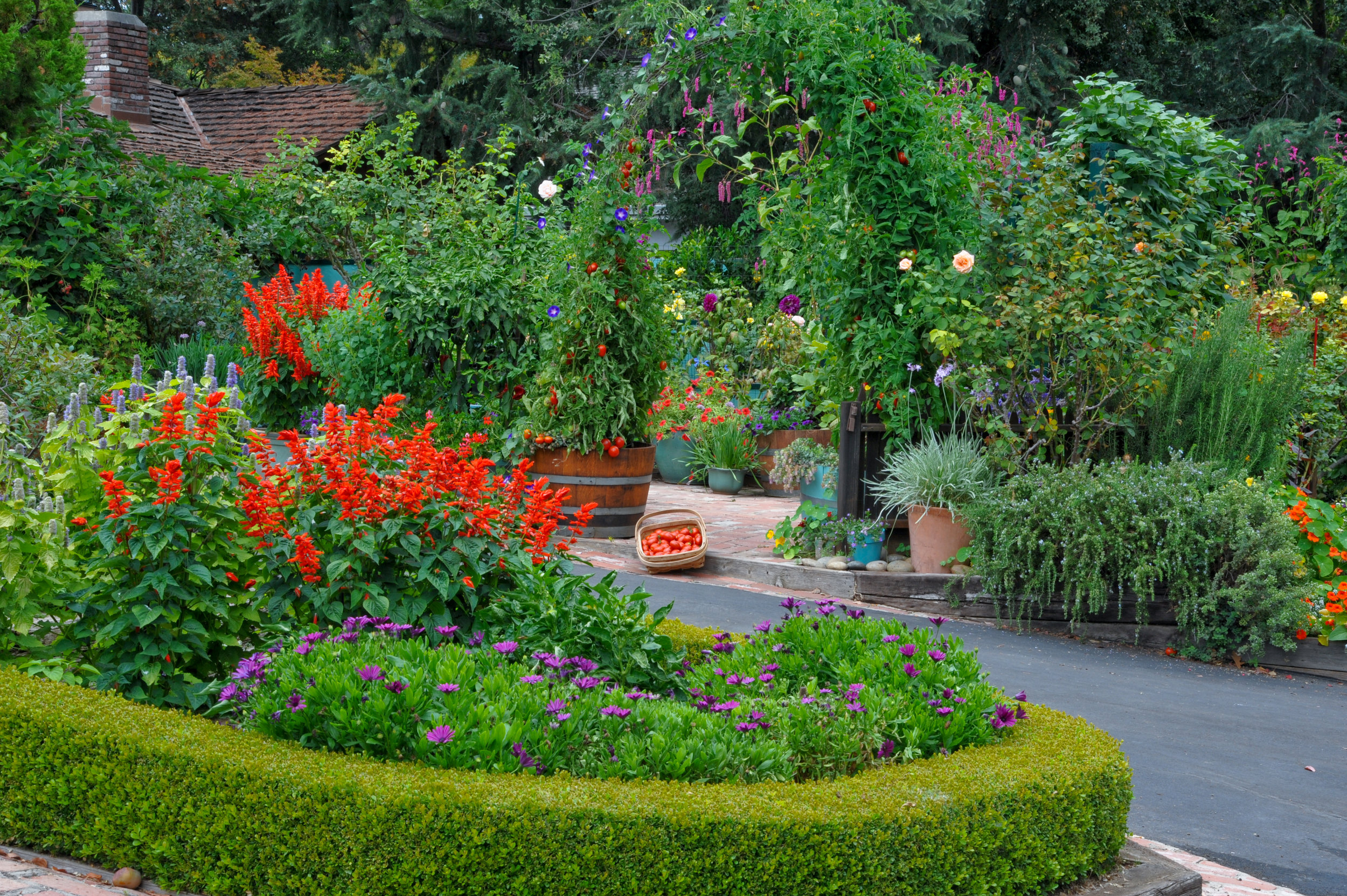 Ros Front garden from driveway side (1 of 1).jpg