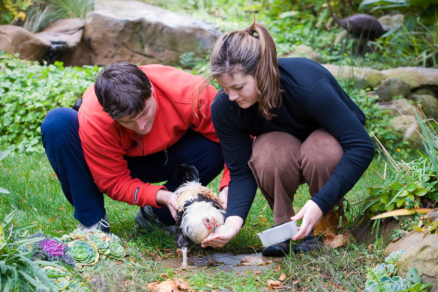 sierra-noah-w-mr-x sierra-noah-w-mr-x