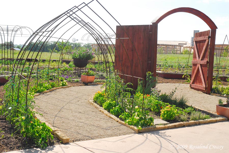 powell-gardens-tomato-trell