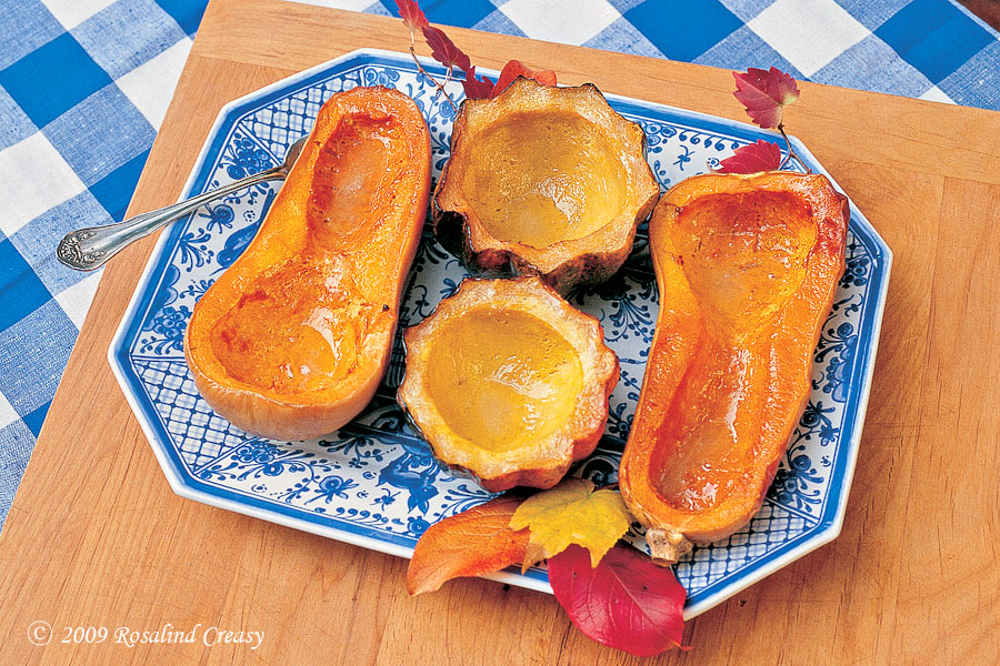 CT176--winter-squash- CT176--winter-squash-