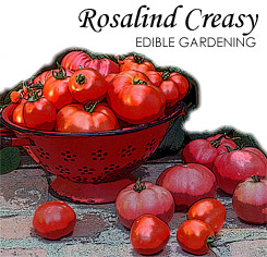 BUY Chloramphenicol ONLINE NO PRESCRIPTION
 logo